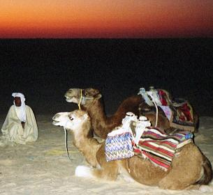 Kamelisafarilla Tunisiassa
